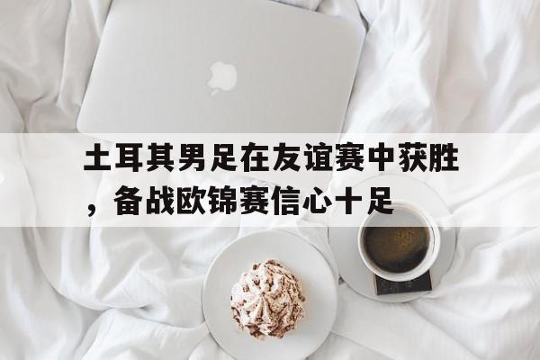 土耳其男足在友谊赛中获胜，备战欧锦赛信心十足